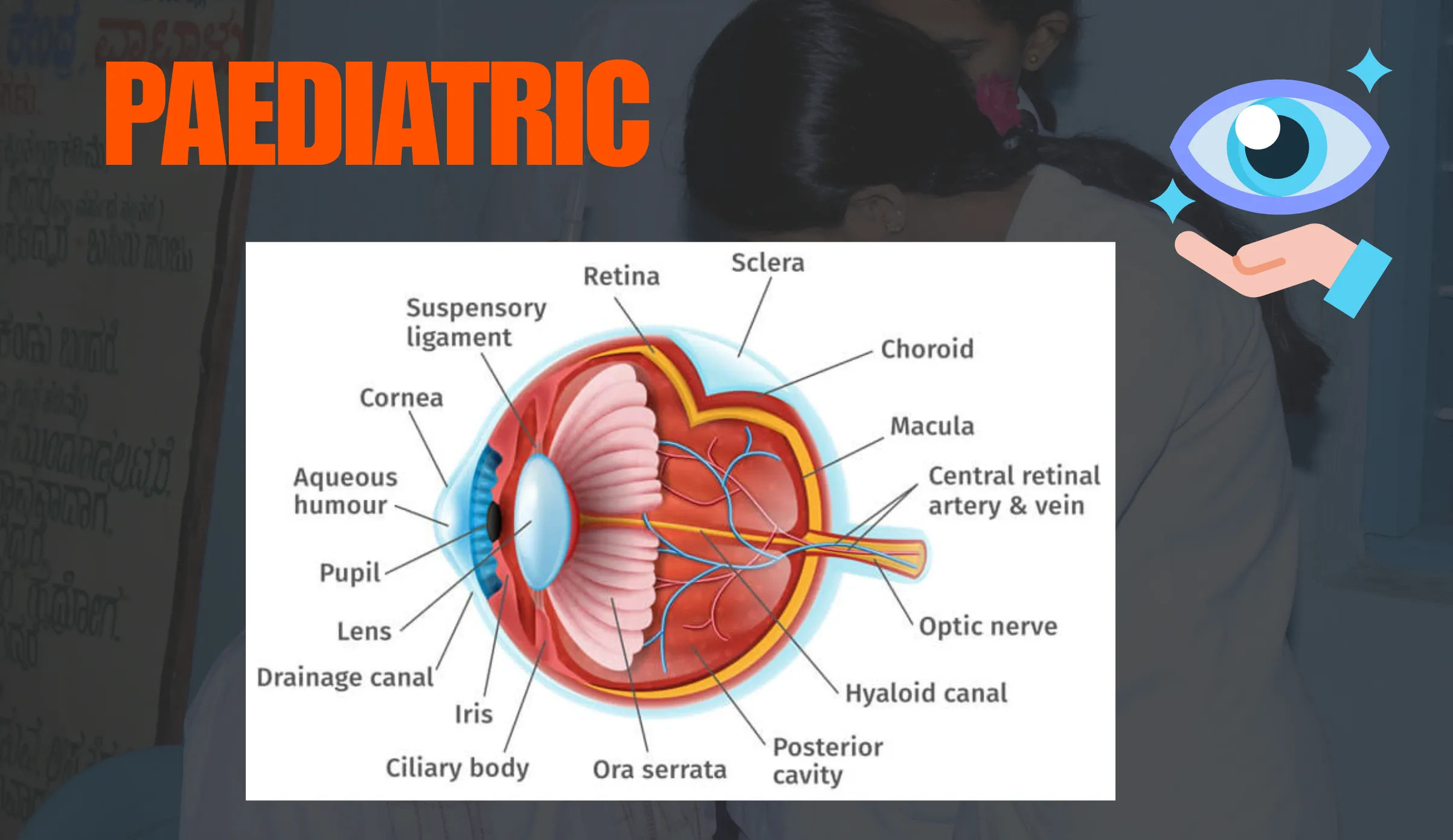 Paediatric-Ophthalmology